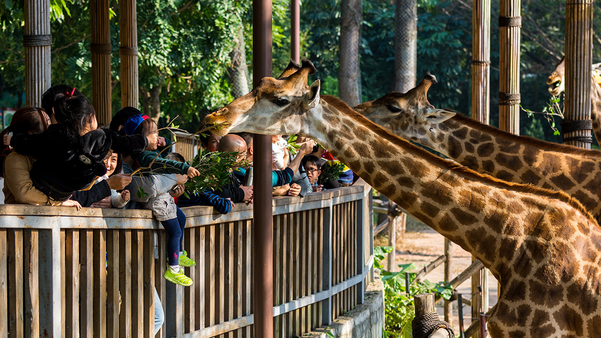 รูปภาพในบทความ เรื่องเล่าจากนิทาน