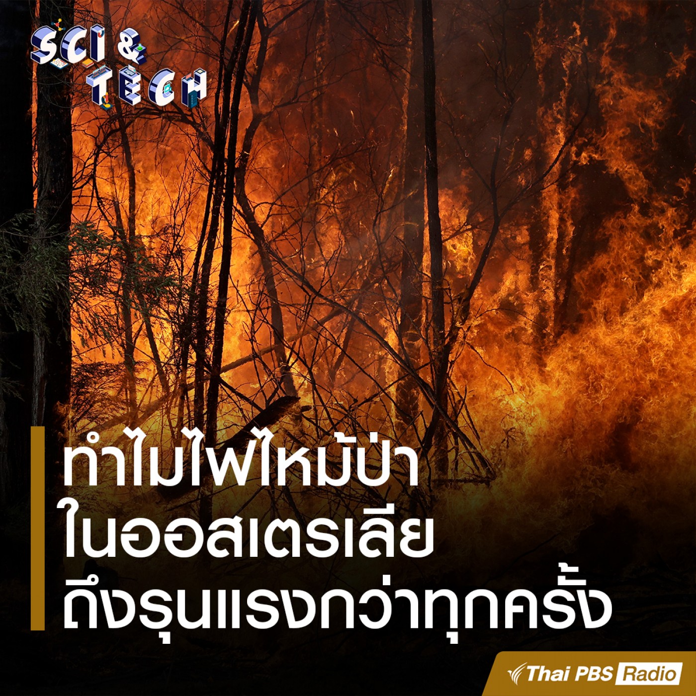 Sci &amp; Tech EP. 9: ทำไมไฟไหม้ป่าในออสเตรเลียถึงรุนแรงกว่าทุกครั้งที่ผ่านมา episode artwork