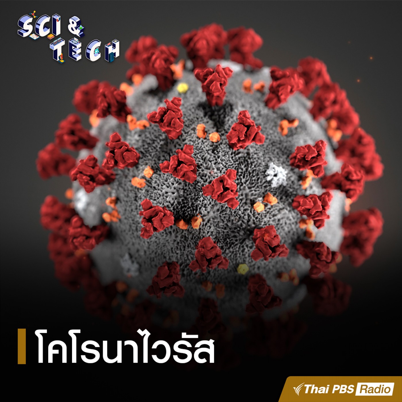 Sci &amp; Tech EP. 22: โคโรนาไวรัส episode artwork