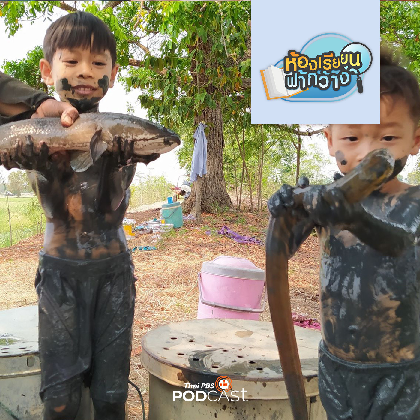 ห้องเรียนฟ้ากว้าง EP. 31: บ้านเรียนรัชชา ความสุขจากการเรียนรู้ในสิ่งที่ชอบทำ episode artwork