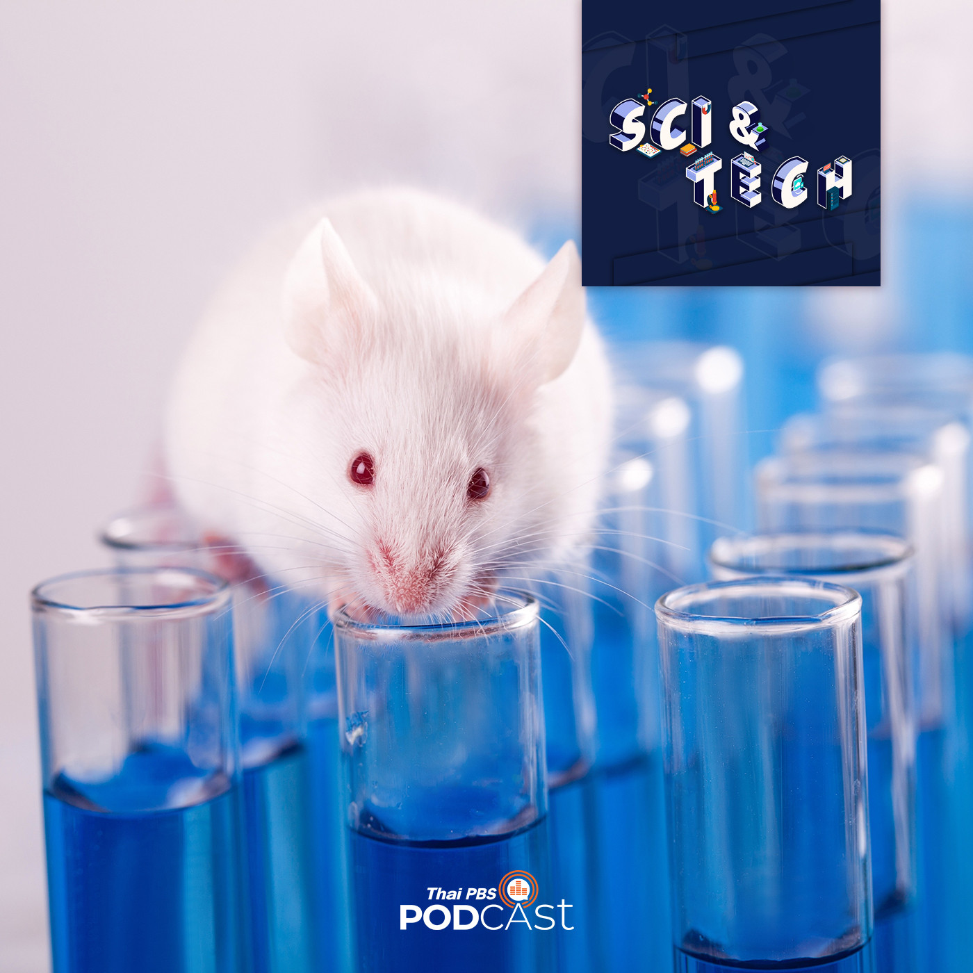 Sci &amp; Tech EP. 135: ทำไมต้องเป็น "หนู" ทดลอง episode artwork