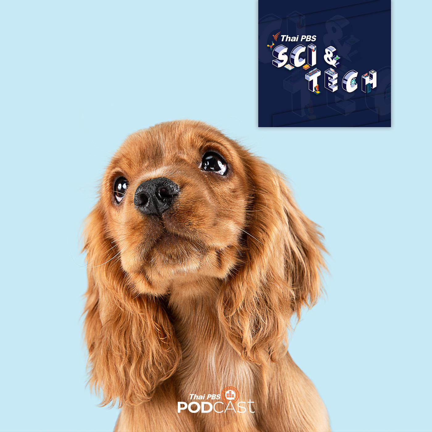 Sci &amp; Tech EP. 175: อารมณ์และความรู้สึกของสัตว์ episode artwork