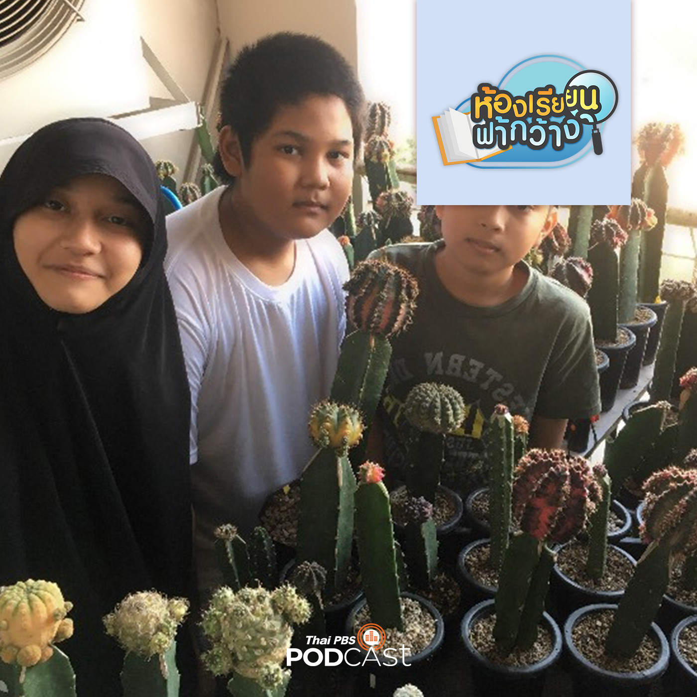 ห้องเรียนฟ้ากว้าง EP. 112: Cactus Homeschooling ความชอบสู่อาชีพเพาะแคสตัสขายในวัยเรียน episode artwork