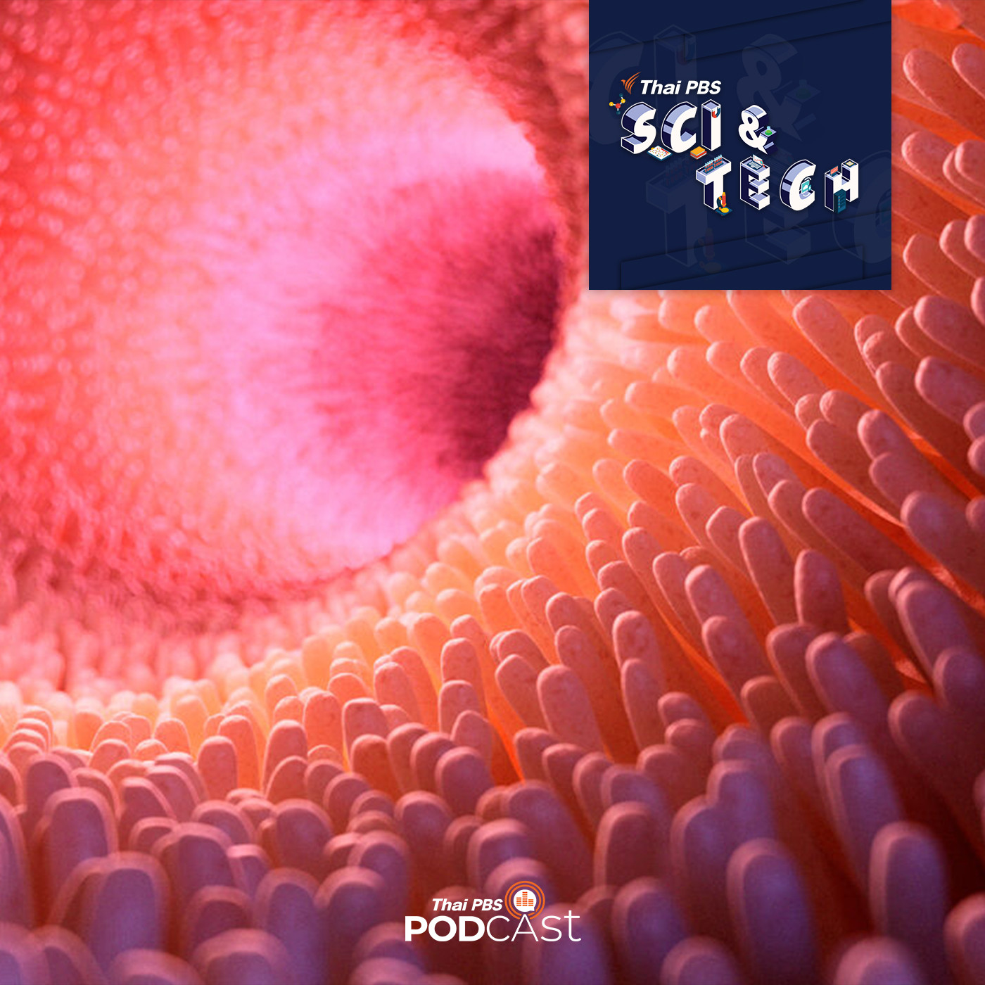 Sci &amp; Tech EP. 360: นักวิทยาศาสตร์พบว่าสัตว์เลี้ยงลูกด้วยนมสามารถหายใจทางลำไส้ใหญ่ได้ episode artwork