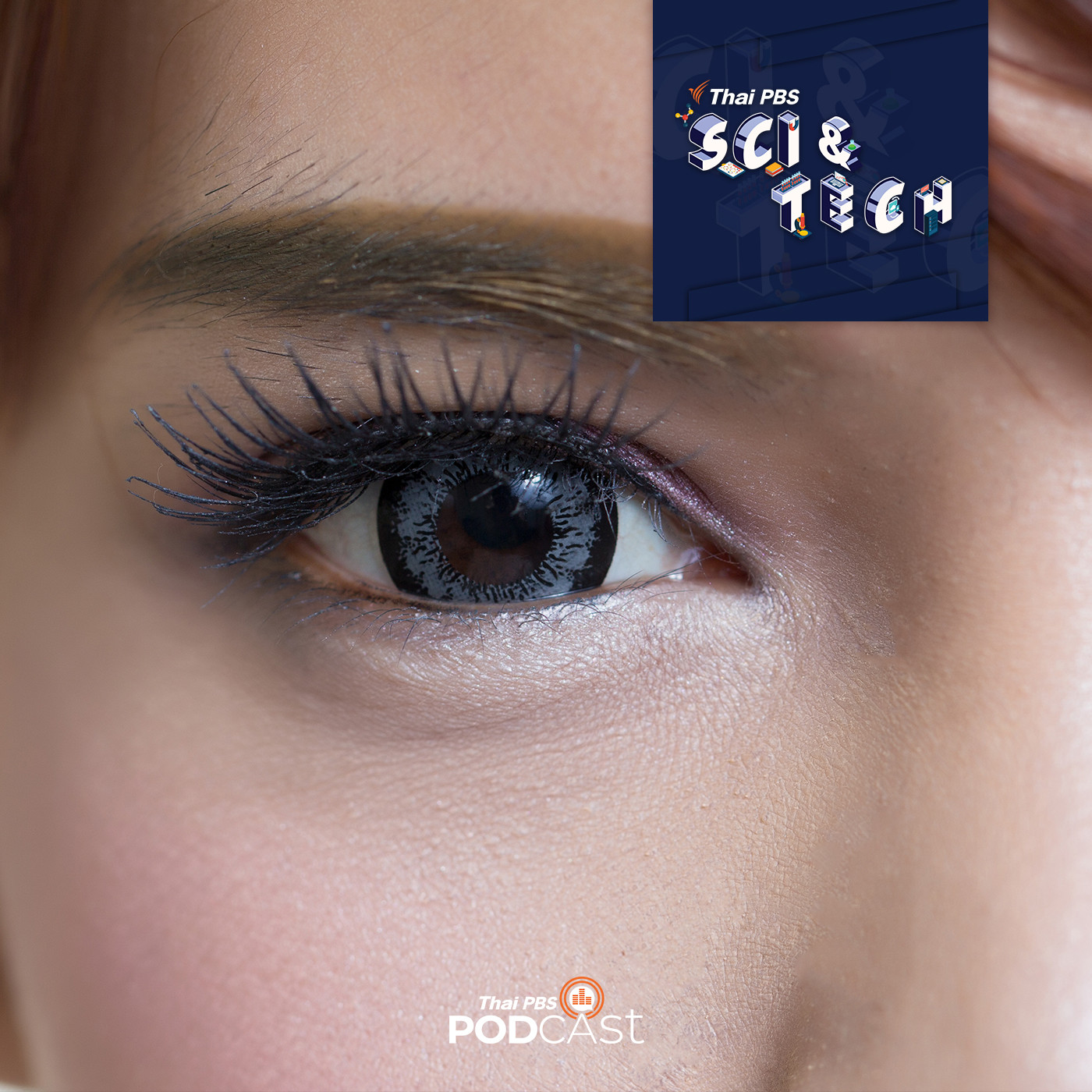 Sci &amp; Tech EP. 365: สบตากับคนแปลกหน้าทำให้รู้สึกว่าเวลาสั้นลง episode artwork