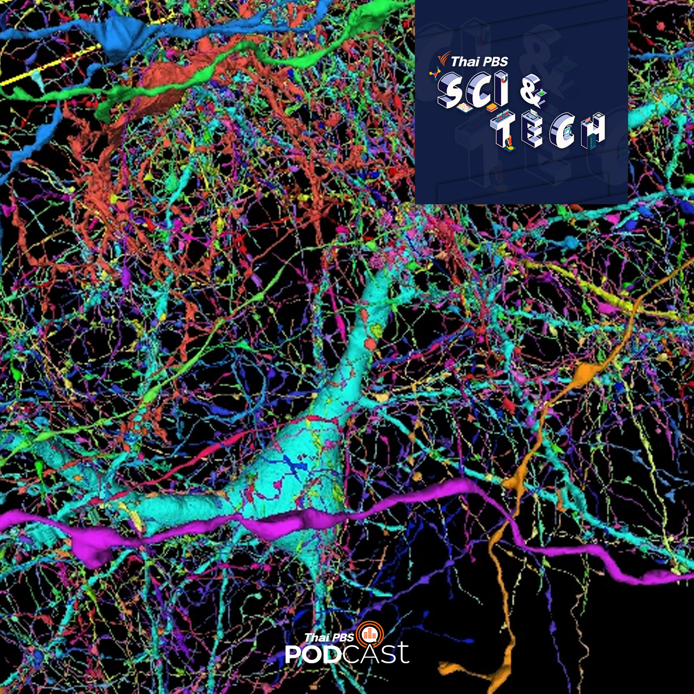 Sci &amp; Tech EP. 400: Brain Mapping ศึกษาการทำงานของเซลล์ในสมอง episode artwork