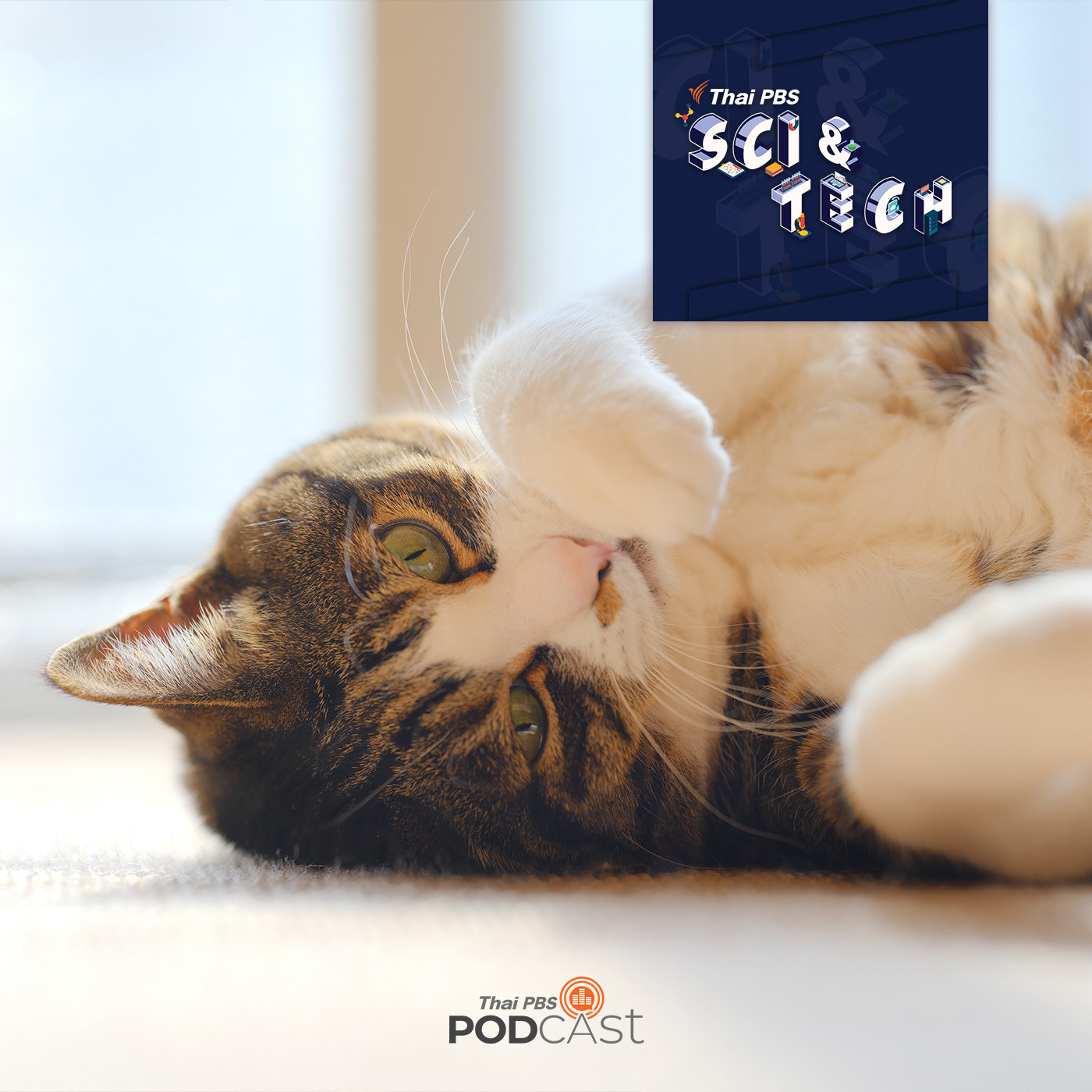 Sci &amp; Tech EP. 415: ความพยายามในการทำความเข้าใจภาษาของสัตว์ episode artwork