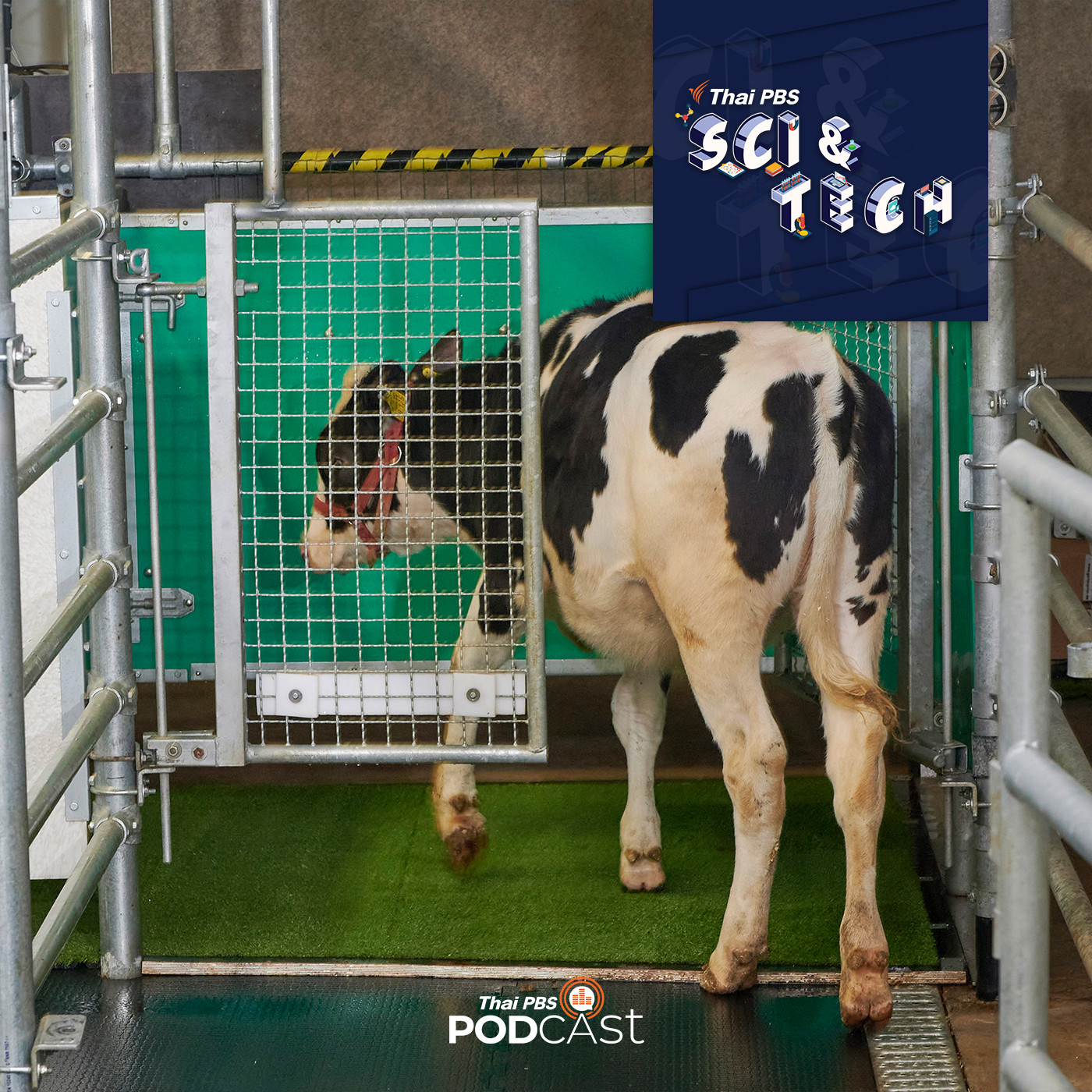 Sci &amp; Tech EP. 455: ฝึกวัวเข้าห้องน้ำ เพื่อแก้ปัญหาภาวะโลกร้อน episode artwork