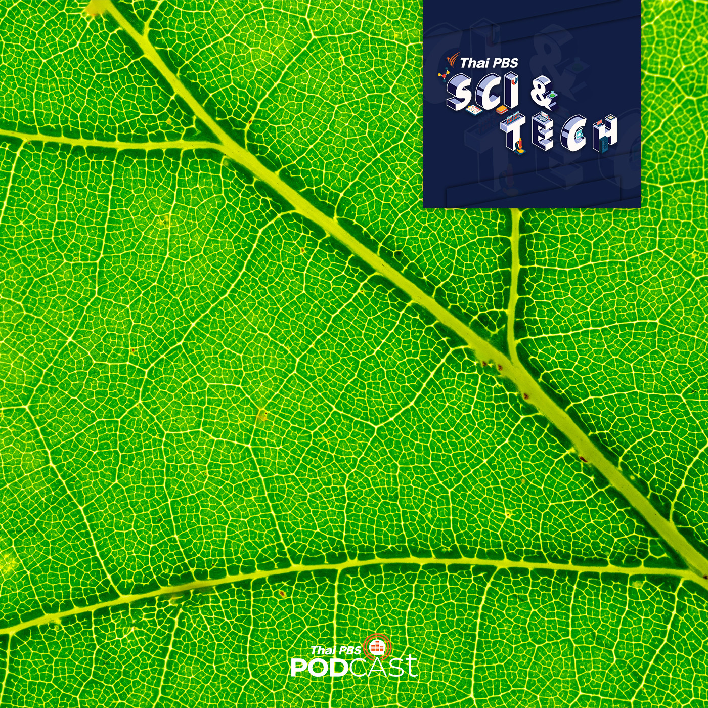 Sci &amp; Tech EP. 459: ชีววิทยาควอนตัม (Quantam Biology) episode artwork