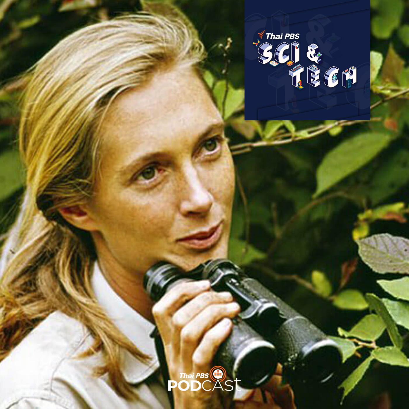 Sci &amp; Tech EP. 464: เจน กูดอลล์ (Jane Goodall) ผู้เชื่อมเรื่องราวระหว่างมนุษย์และลิงชิมแปนซี episode artwork