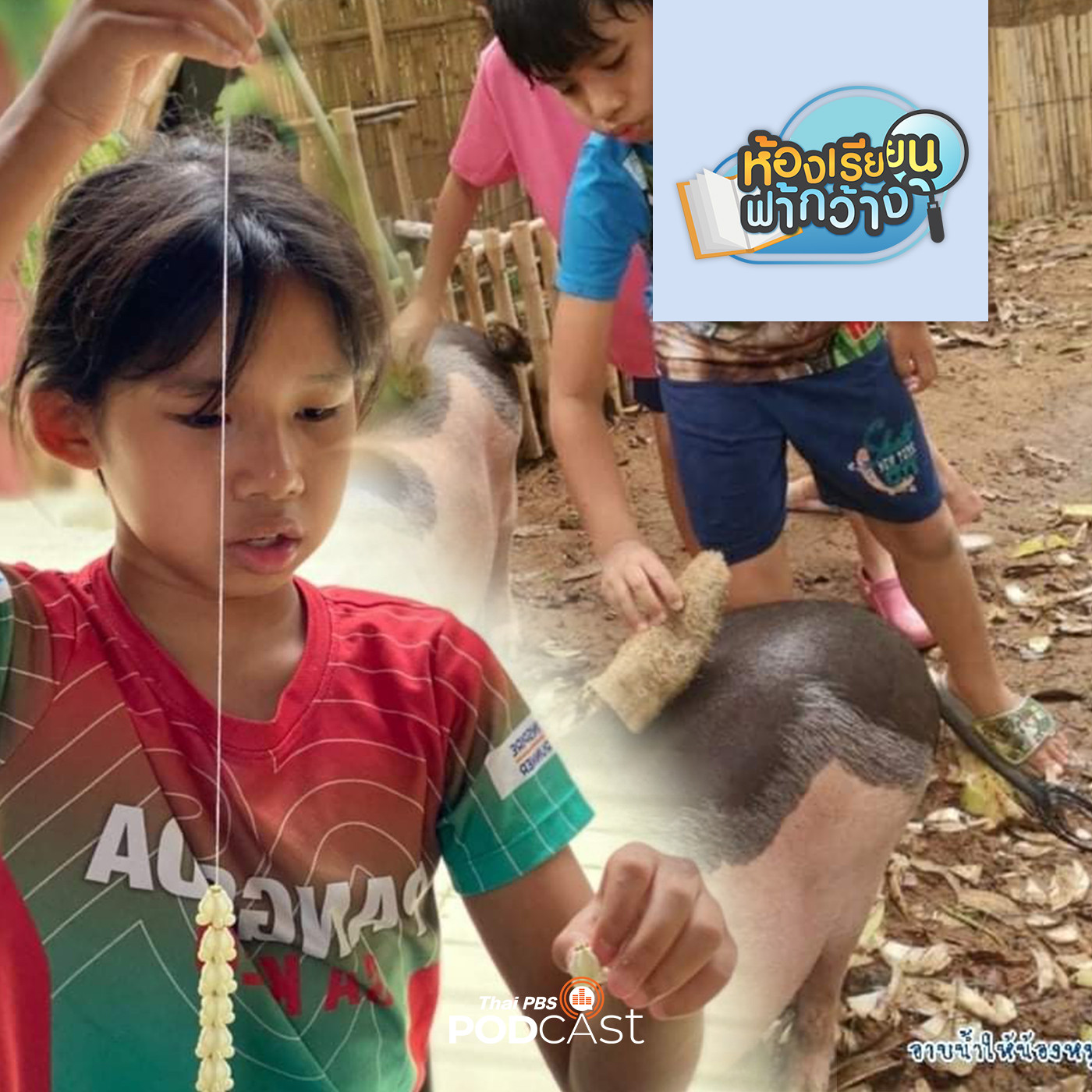 ห้องเรียนฟ้ากว้าง EP. 187: การเรียนรู้ผ่านค่ายพัฒนาทักษะชีวิตของเด็กบ้านเรียน episode artwork