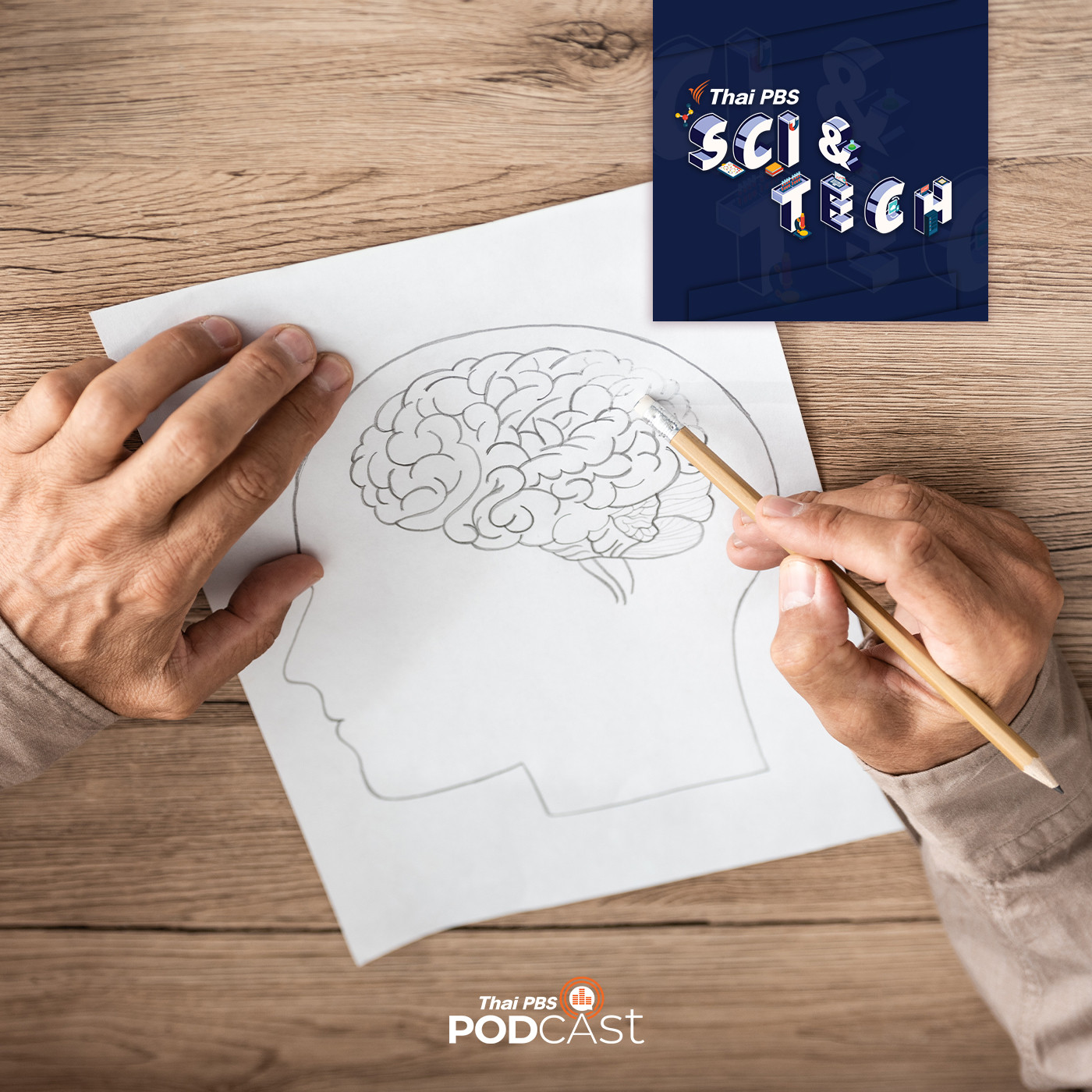 Sci &amp; Tech EP. 495: ปัจจัยเสี่ยงและวิธีป้องกันภาวะสมองเสื่อม episode artwork