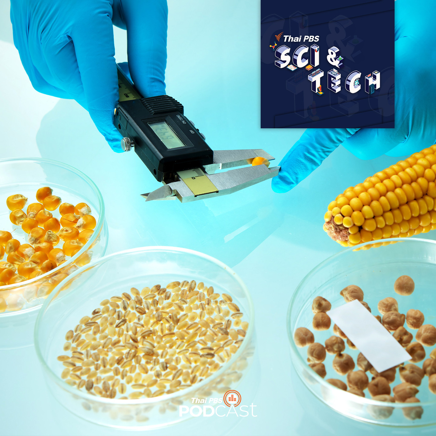 Sci &amp; Tech EP. 500: การตัดแต่งพันธุกรรม (GMO) episode artwork