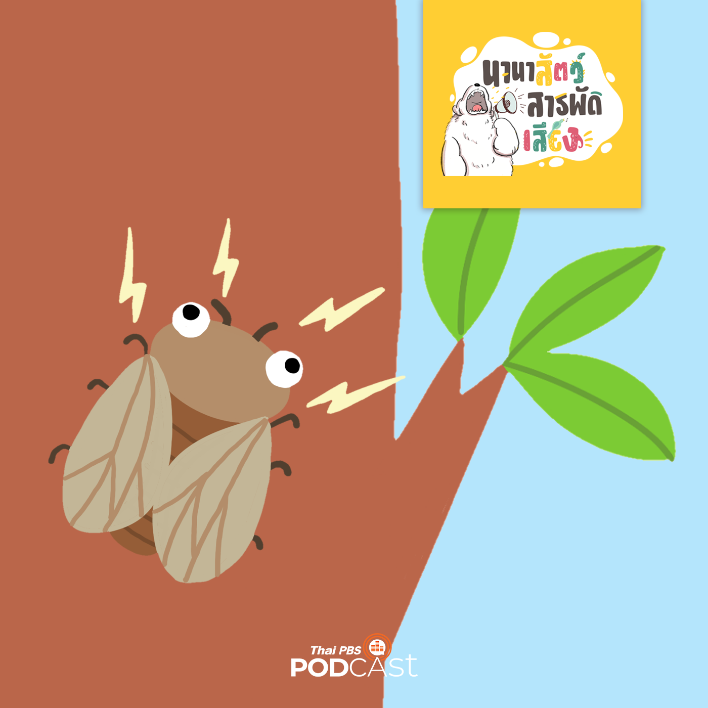 นานาสัตว์สารพัดเสียง EP. 5: นักดนตรีแห่งป่า ชื่อว่าจักจั่น episode artwork