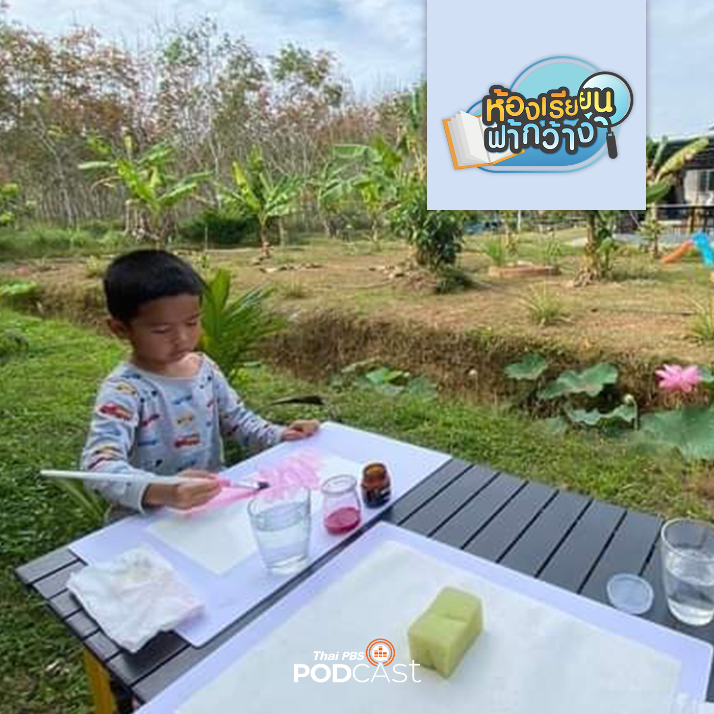 ห้องเรียนฟ้ากว้าง EP. 221: บ้านเรียนเพาะรัก ห้องเรียนธรรมชาติกับศิลปะเด็กเล็ก episode artwork