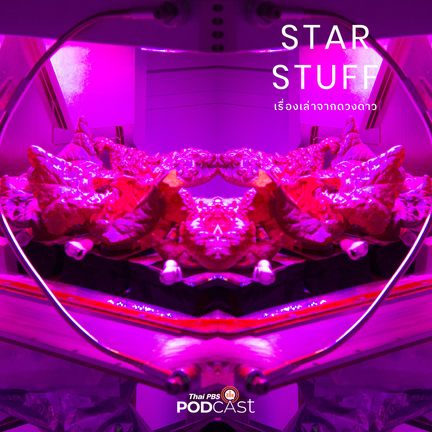 Starstuff  เรื่องเล่าจากดวงดาว EP. 19: ผักที่ปลูกบนอวกาศรสชาติเป็นอย่างไร