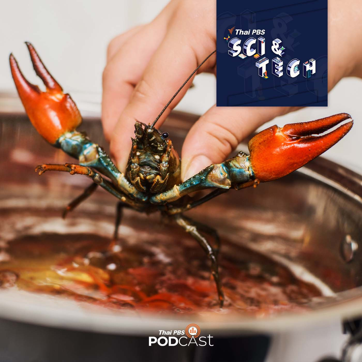 Sci &amp; Tech EP. 545: ความรู้สึกเจ็บปวดของสิ่งมีชีวิต episode artwork