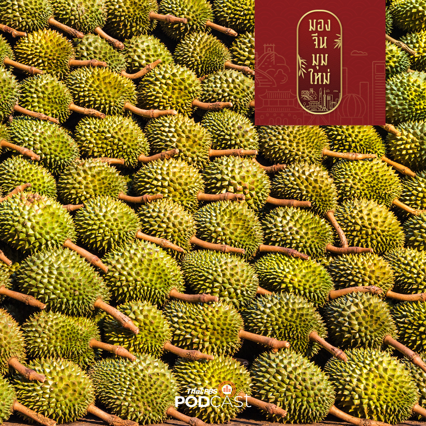 มองจีนมุมใหม่ EP. 64: โอกาสผลไม้ไทยในตลาดจีนอย่างยั่งยืน