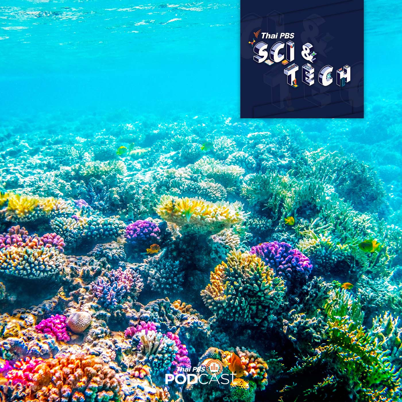 Sci &amp; Tech EP. 605: สารเคมีจากธรรมชาติที่ช่วยรักษาโรค episode artwork
