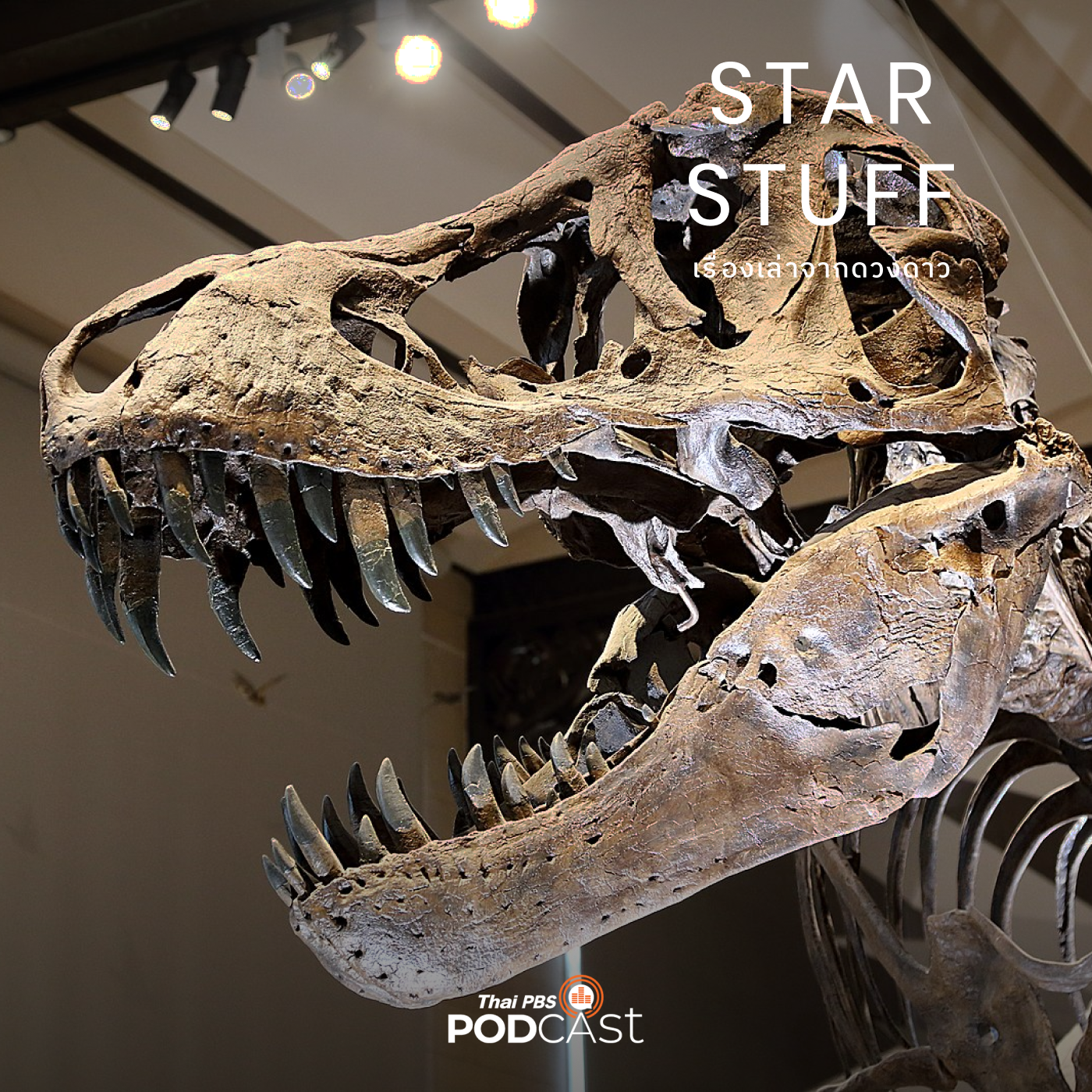 Starstuff  เรื่องเล่าจากดวงดาว EP. 56: การหาคำตอบว่า "ทำไมไดโนเสาร์ถึงสูญพันธุ์"