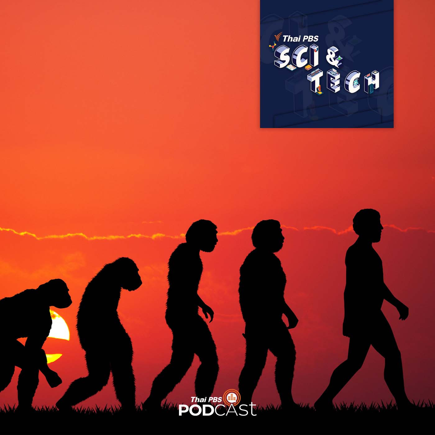 Sci &amp; Tech EP. 653: วิวัฒนาการของมนุษย์จะไปทางไหนต่อ episode artwork