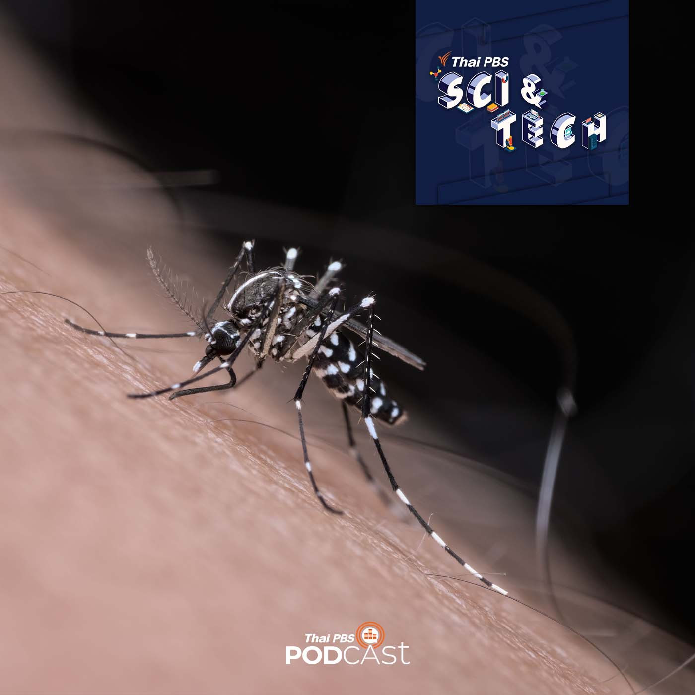 Sci &amp; Tech EP. 659: ทำไมยุงกัดบางคนเป็นประจำ episode artwork