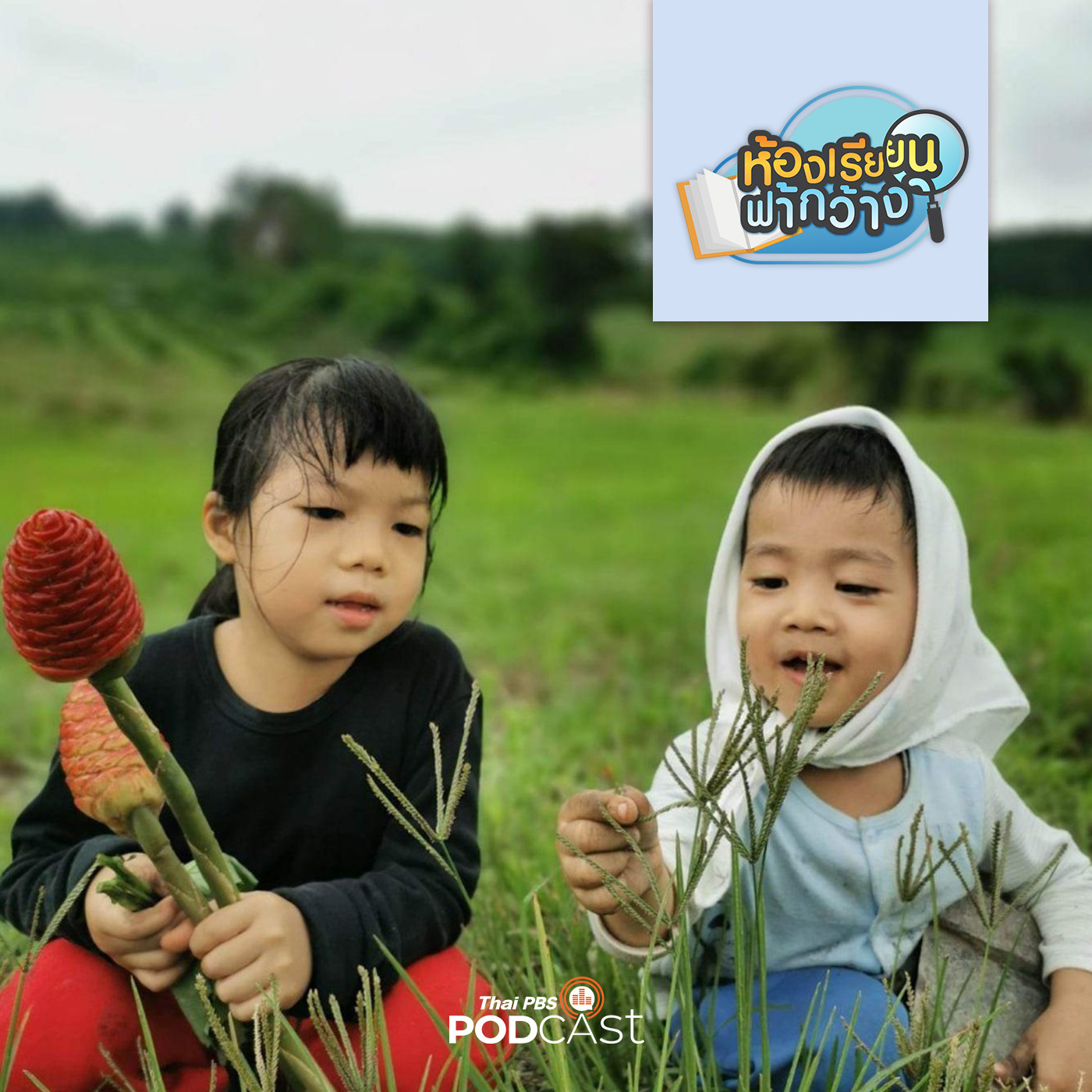 ห้องเรียนฟ้ากว้าง EP. 324: บ้านเรียนโดยพระคุณ กับการเรียนรู้เพื่อสิทธิของลูก episode artwork