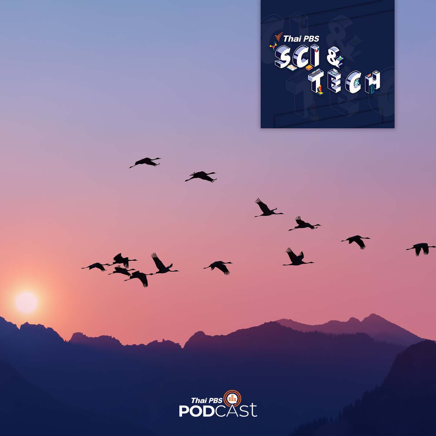 Sci &amp; Tech EP. 713: สัมผัสที่หก? การรับรู้สนามแม่เหล็กโลกของสิ่งมีชีวิต episode artwork
