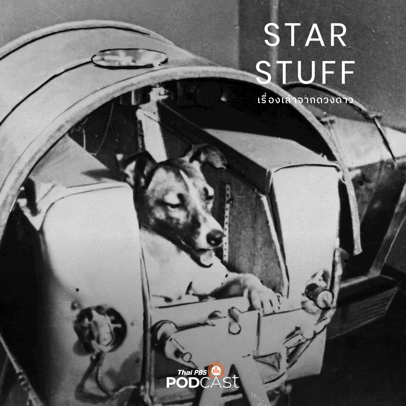 Starstuff  เรื่องเล่าจากดวงดาว EP. 79: สัตว์-ทดลอง กับอวกาศ