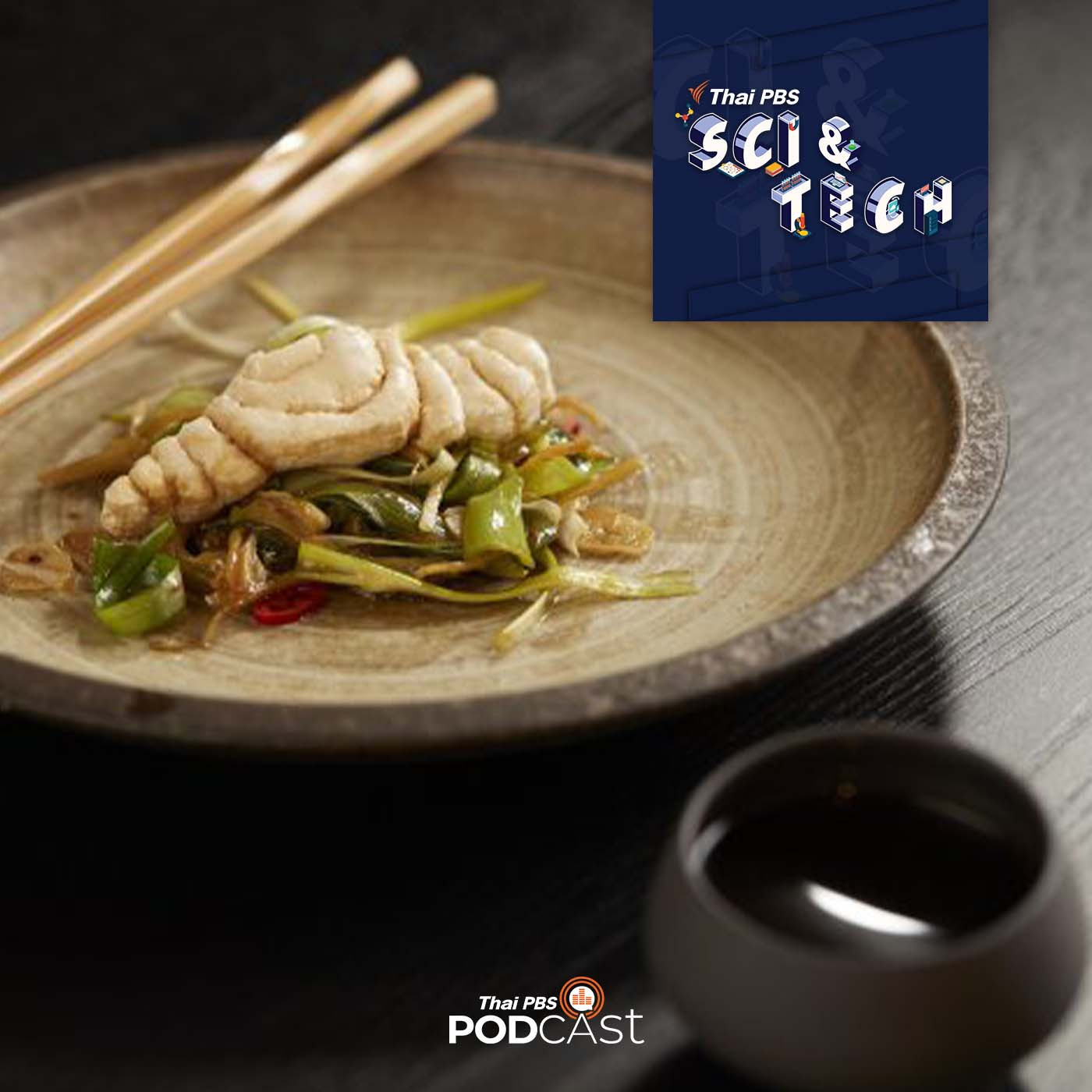 Sci &amp; Tech EP. 740: เนื้อสัตว์เพาะจากห้องแล็บ แหล่งอาหารทางเลือกในอนาคต? episode artwork