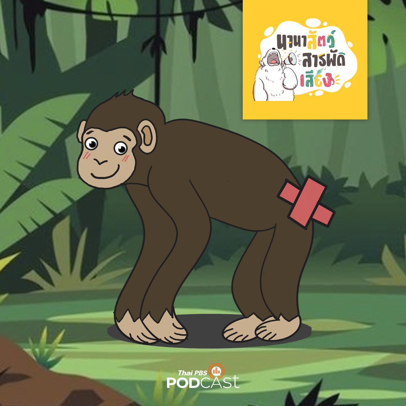 นานาสัตว์สารพัดเสียง EP. 109: ลิงไม่มีหาง ญาติห่าง ๆ ของมนุษย์ episode artwork