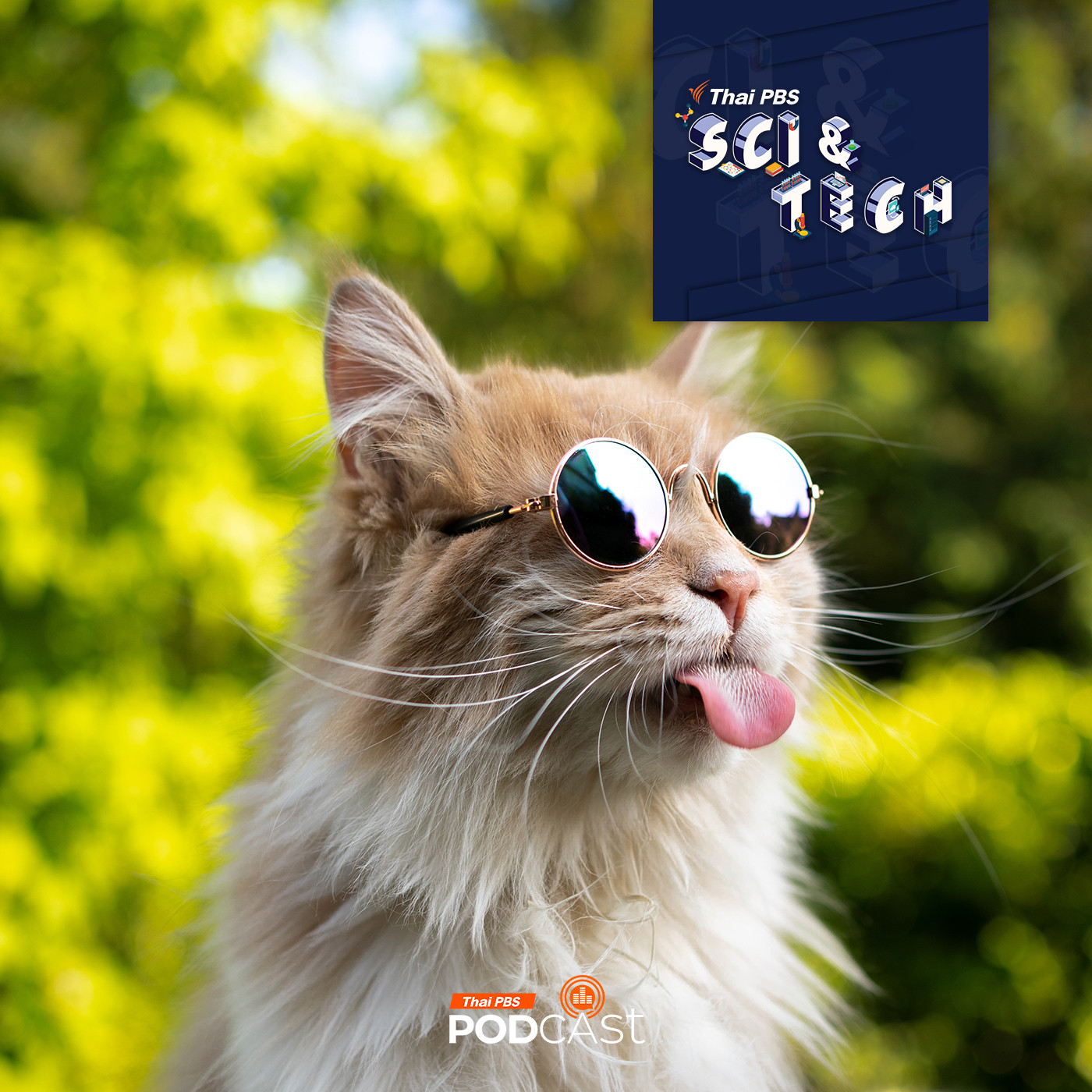 Sci &amp; Tech EP. 800: สัตว์ก็มีอารมณ์ขัน ไม่ต่างจากมนุษย์ episode artwork