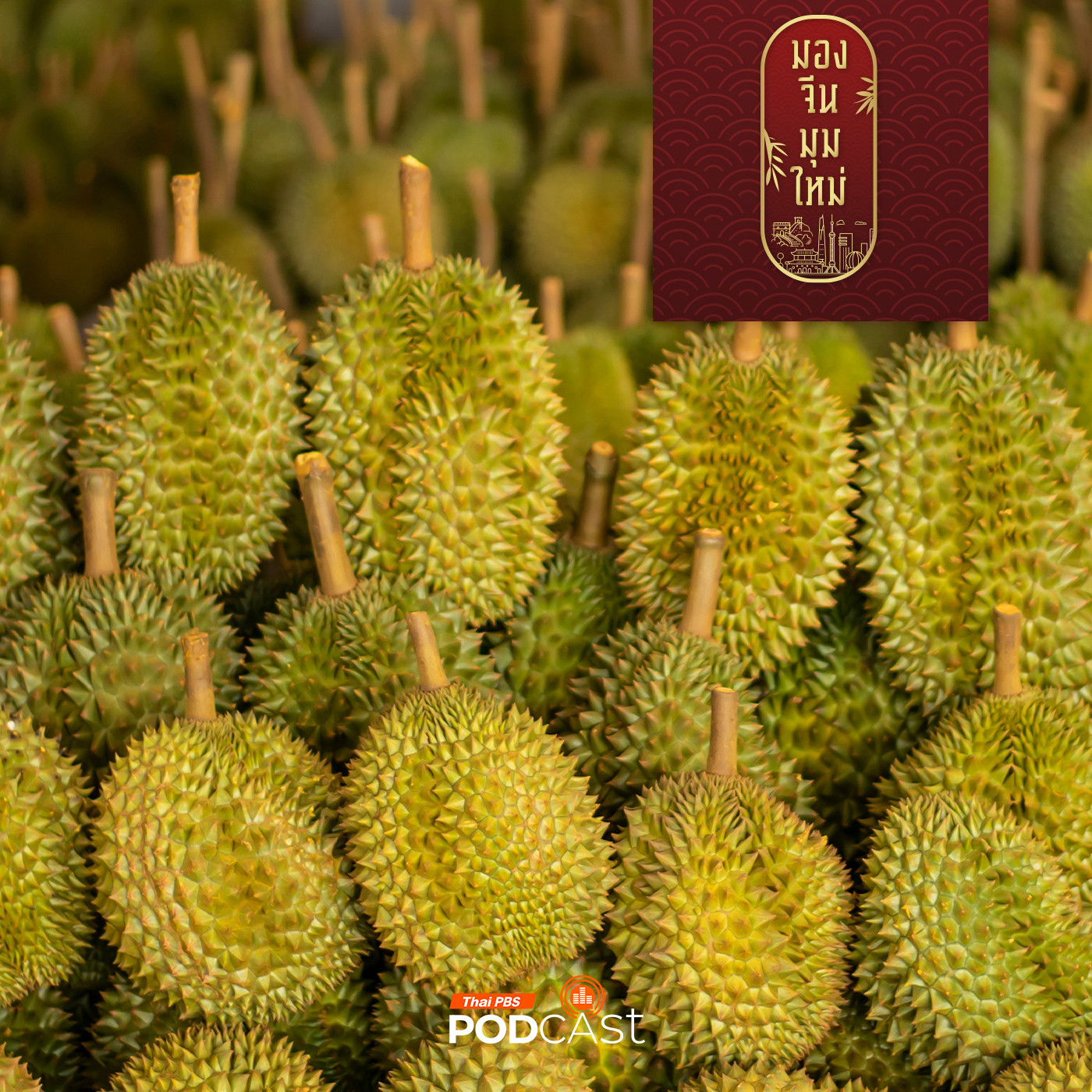 มองจีนมุมใหม่ EP. 163: ส่งออกทุเรียนไทยไปจีน เสี่ยงเสียแชมป์ ?