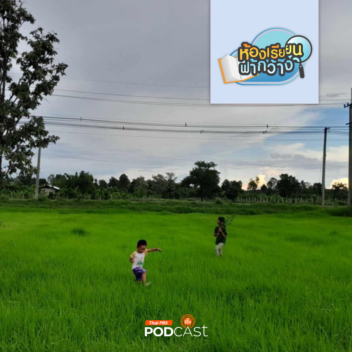 ห้องเรียนฟ้ากว้าง EP. 423: บ้านเรียนน้ำว้าภูดิน น้อมนำศาสตร์พระราชาสู่การเรียนรู้อย่างยั่งยืน episode artwork