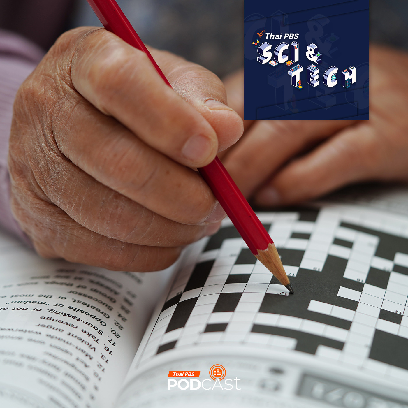 Sci &amp; Tech EP. 818: "เกมลับสมอง" ช่วยได้แค่ไหน? episode artwork