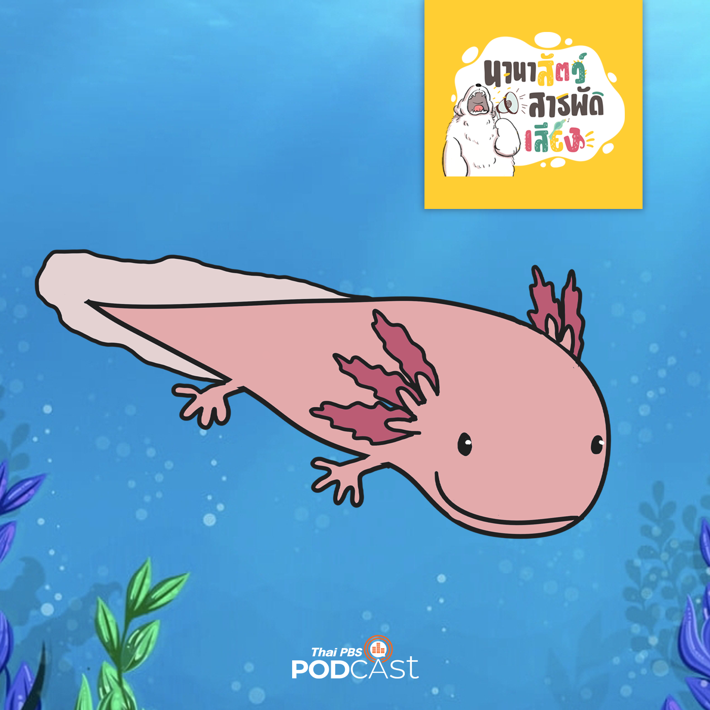 นานาสัตว์สารพัดเสียง EP. 154: ชีวิตน่าทึ่งของซาลาแมนเดอร์ episode artwork