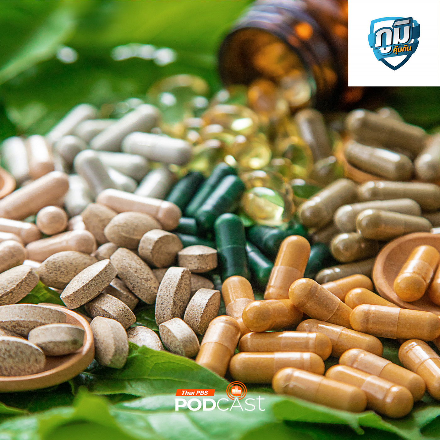 ภูมิคุ้มกัน : การใช้ยาสมุนไพรแทนยาแผนปัจจุบัน  /  เนื้อสัตว์นำเข้ากับเนื้อในประเทศแบบไหนปลอดภัยกว่ากัน