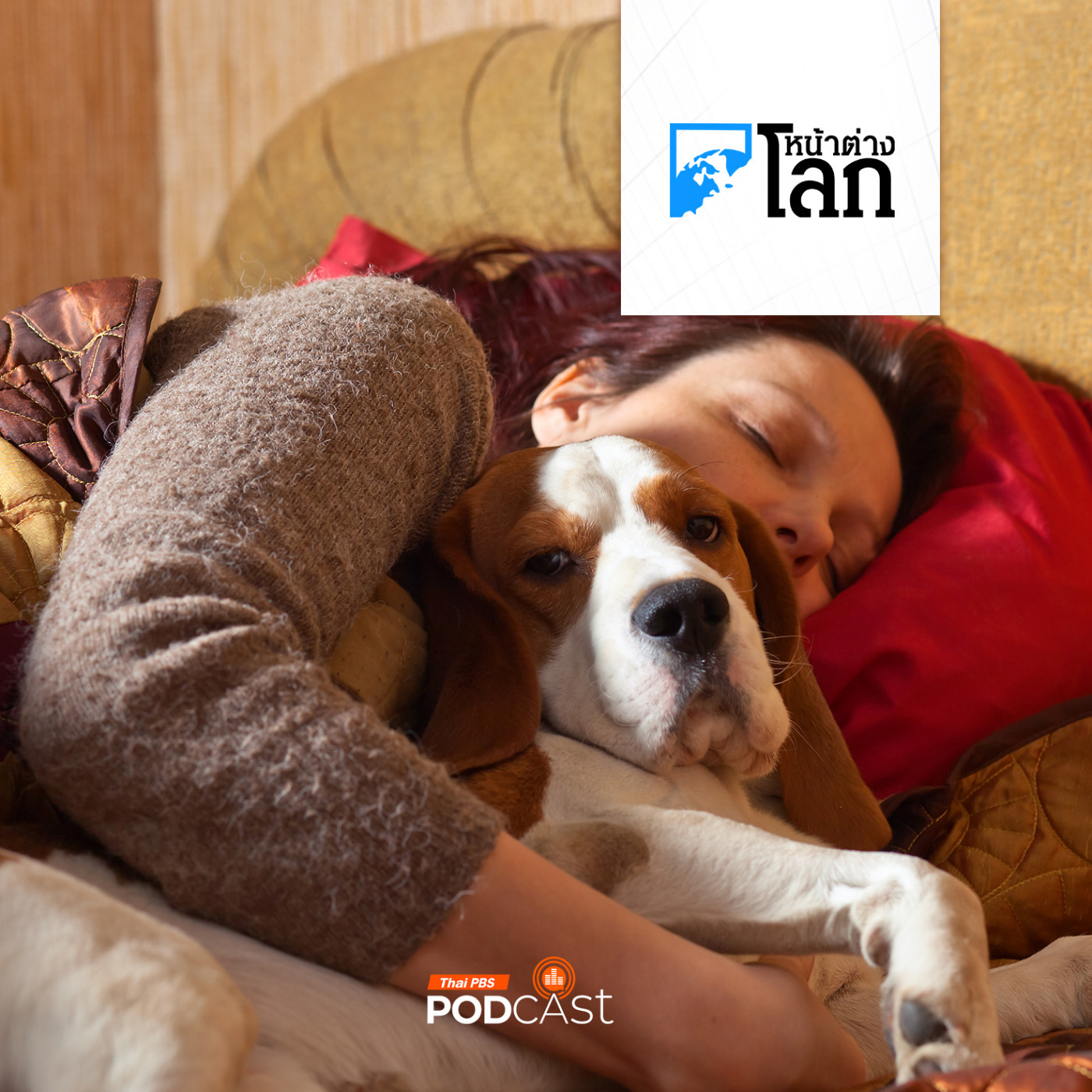 หน้าต่างโลก : เจ้าของควรให้สัตว์เลี้ยงนอนบนเตียงด้วยหรือไม่?