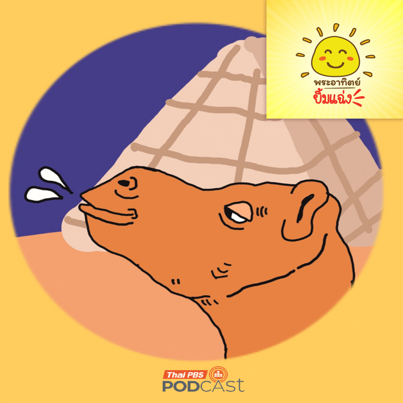 EP. 1921: ทำไมอูฐชอบถ่มน้ำลาย