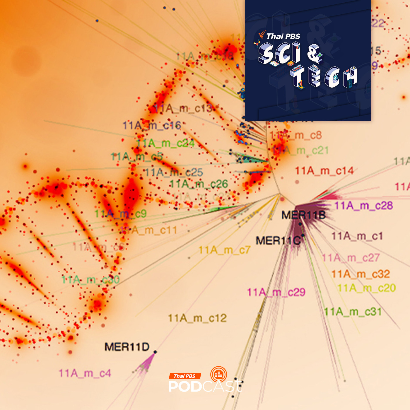 Sci & Tech EP. 872: DNA ของไวรัสโบราณกับพัฒนาการของมนุษย์