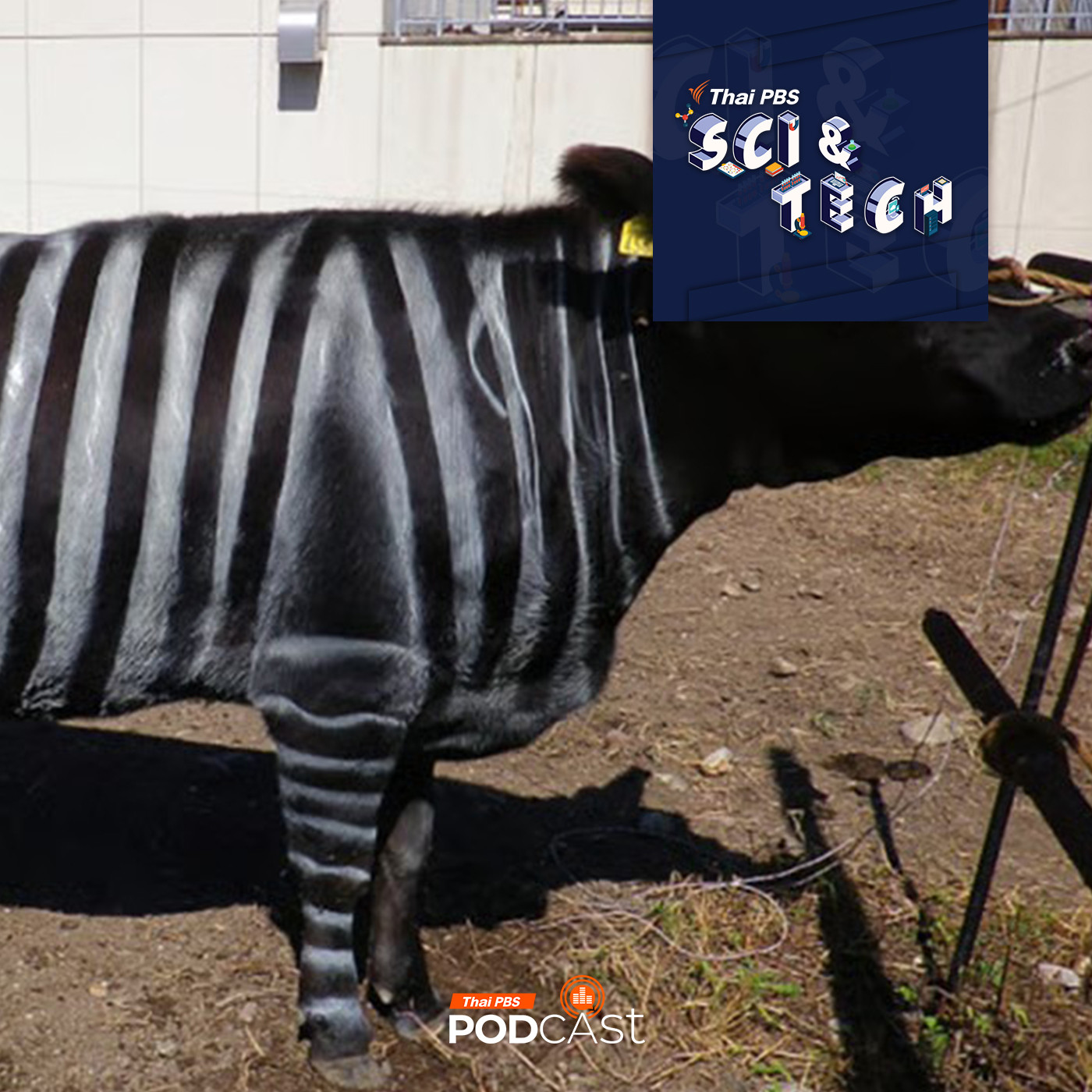 Sci & Tech EP. 877: รางวัลวิทยาศาสตร์ชวนฉุกคิด "Ig Nobel 2025"