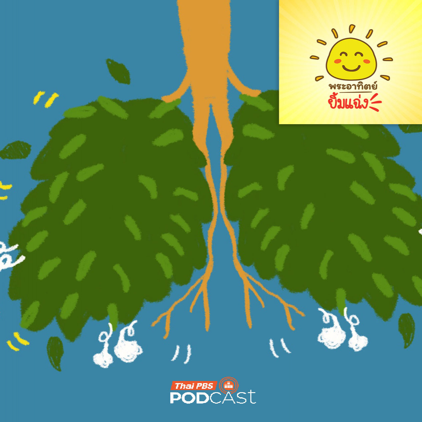 พระอาทิตย์ยิ้มแฉ่ง EP. 1966: ต้นไม้มีปอดหรือเปล่านะ