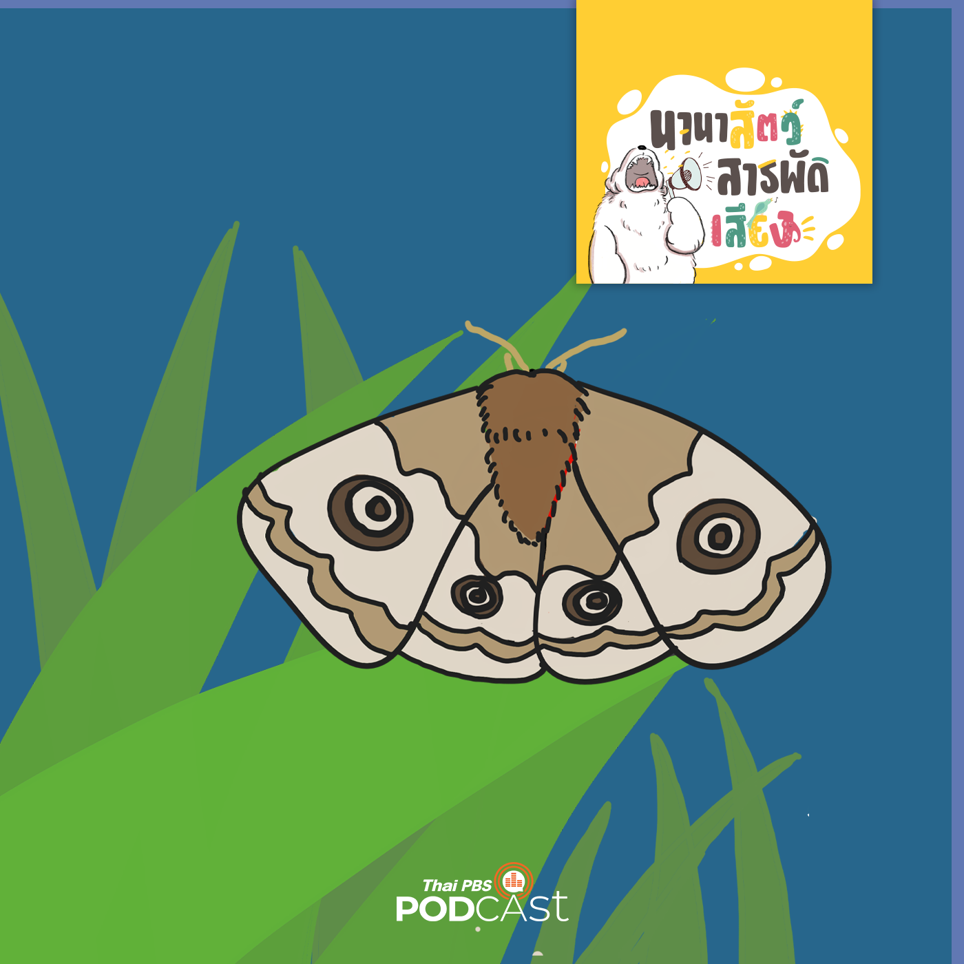 นานาสัตว์สารพัดเสียง EP. 203: ผีเสื้อกลางคืน(moth)ที่สุดของผีเสื้อ นานาสัตว์สารพัดเสียง EP. 203: ผีเสื้อกลางคืน(moth)ที่สุดของผีเสื้อ