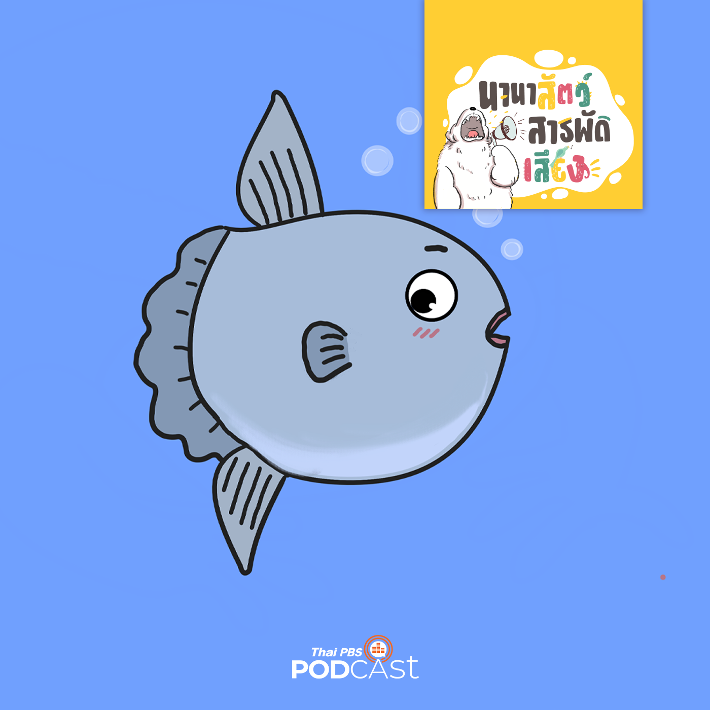 EP. 206: ปลาโมลาโมลา ทำไมได้ชื่อว่า SUNFISH