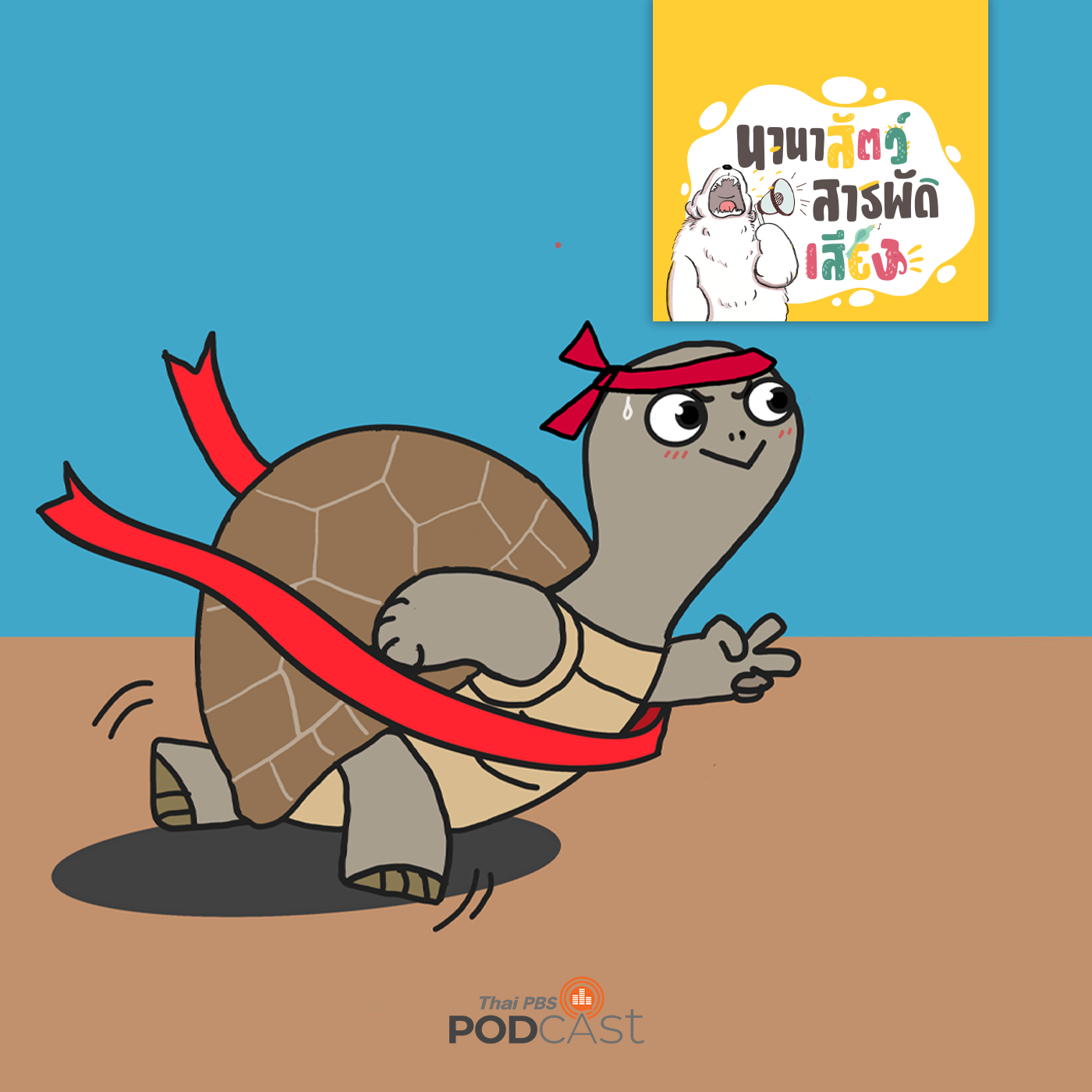 EP. 211: เต่าบก ชีวิตที่ช้าแต่ชัวร์