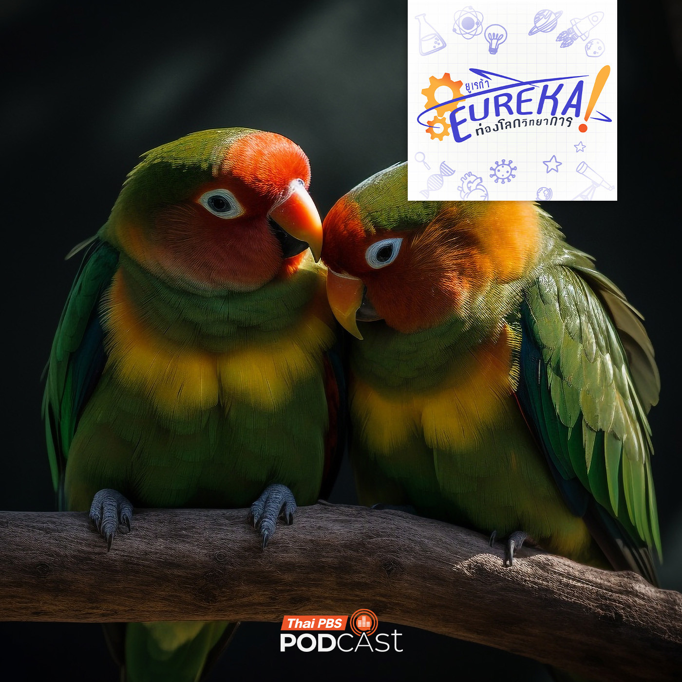 EP. 3: วิศวกรรมสัตวแพทย์ เทคโนโลยีเพื่อชีวิตสัตว์