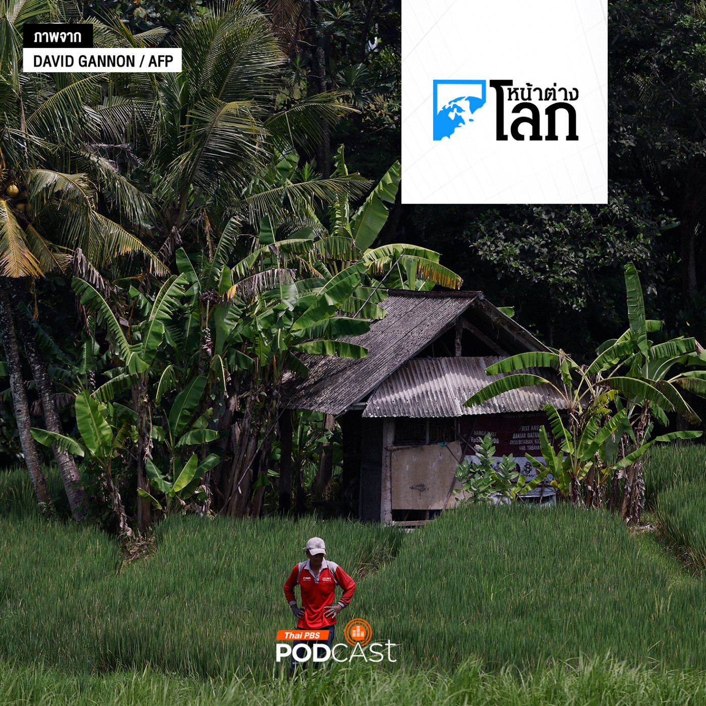 หน้าต่างโลก : ผู้นำอินโดนีเซียผุดแผนเปลี่ยนหลังคาสังกะสีทั้งประเทศ