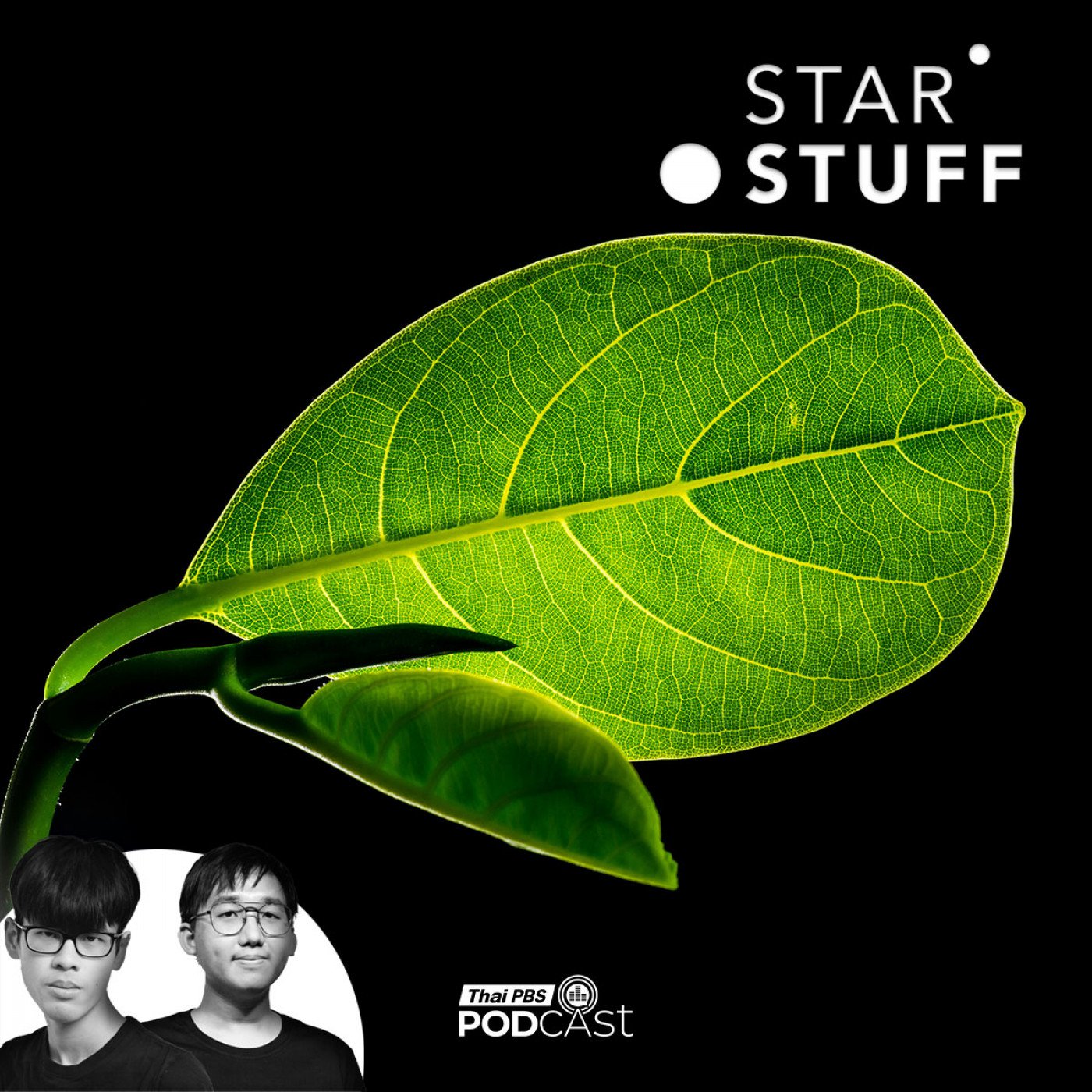 Starstuff  เรื่องเล่าจากดวงดาว EP. 232: ทำไมโลกของเราถึงเต็มไปด้วย “สีเขียว” กันแน่
