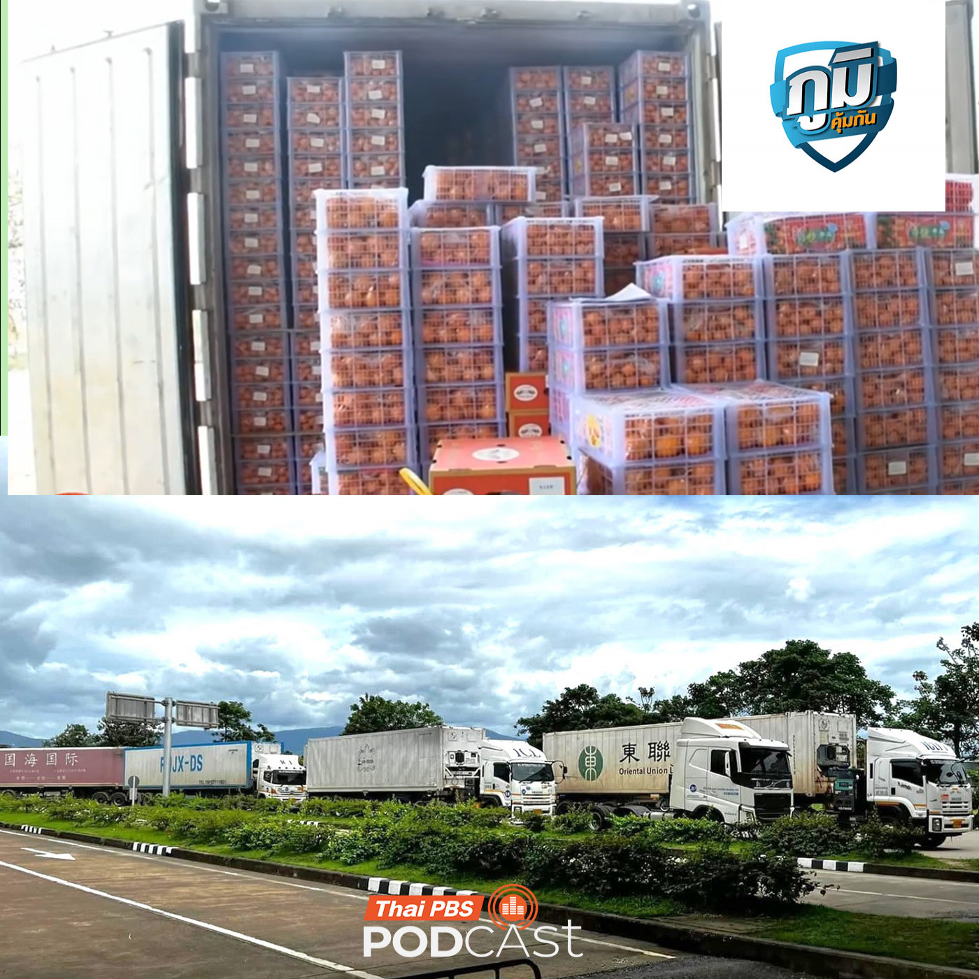 ภูมิคุ้มกัน : ตรวจผักผลไม้นำเข้าที่ด่านพรมแดน พบสารเคมีตกค้างเกินมาตรฐาน ผลักดันกลับต้นทาง "Border Rejection" สกัดผักผลไม้พิษไม่ให้ขายในไทย / ชุดตรวจการตั้งครรภ์คืออะไร แม่นยำแค่ไหน podcast