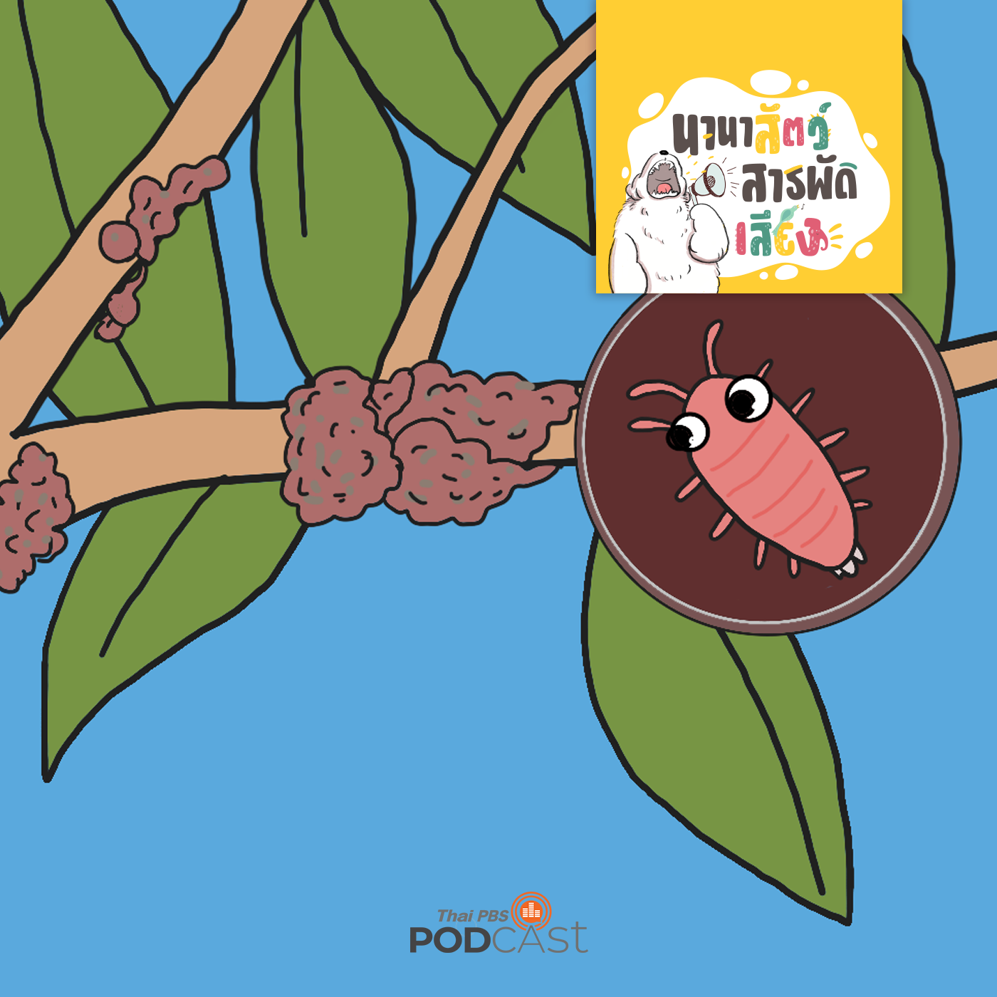 Thai PBS Podcast